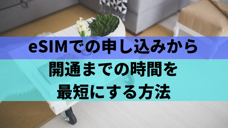 eSIMでの申し込みから開通までの時間を最短にする方法