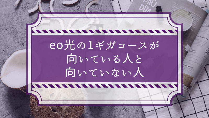 eo光の1ギガコースが向いている人と向いていない人
