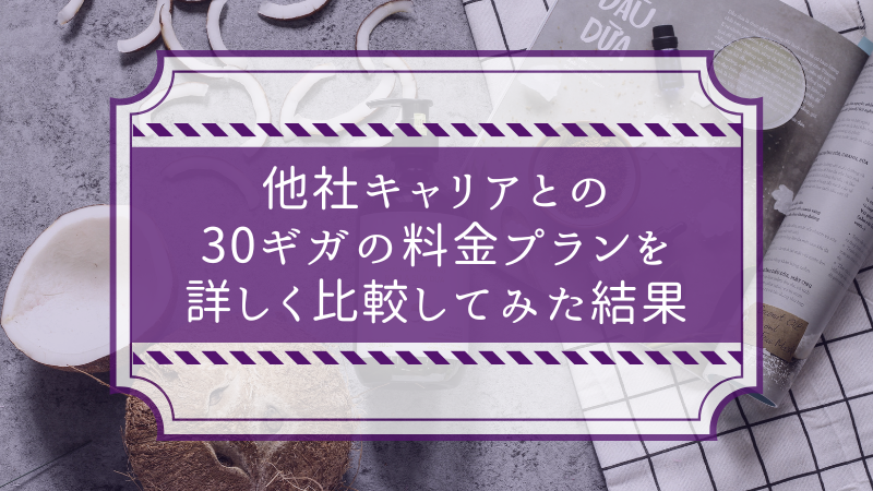 他社キャリアとの30ギガの料金プランを詳しく比較してみた結果