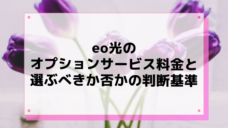 eo光のオプションサービス料金と選ぶべきか否かの判断基準