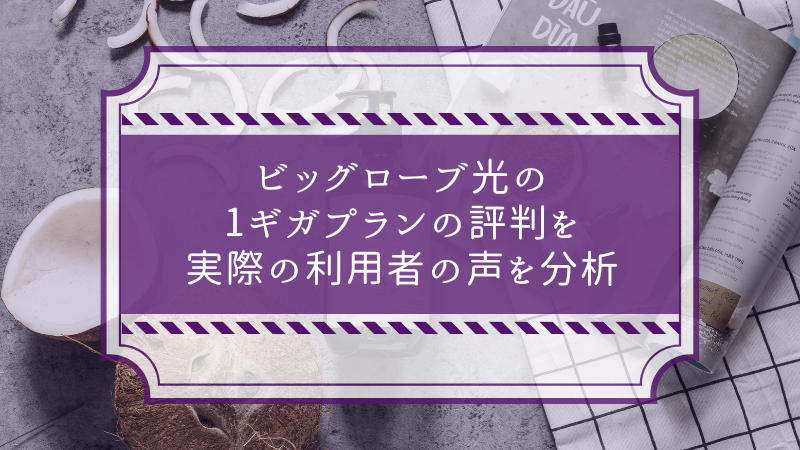 ビッグローブ光の1ギガプランの評判を実際の利用者の声を分析