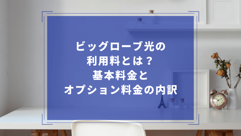 ビッグローブ光の利用料とは?基本料金とオプション料金の内訳
